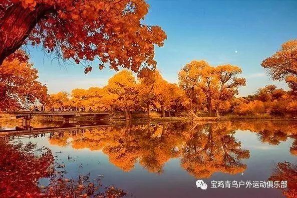 机智问答——找答案,只需一按2022年日产轩逸14代点烟器可以用车载电饭锅吗?