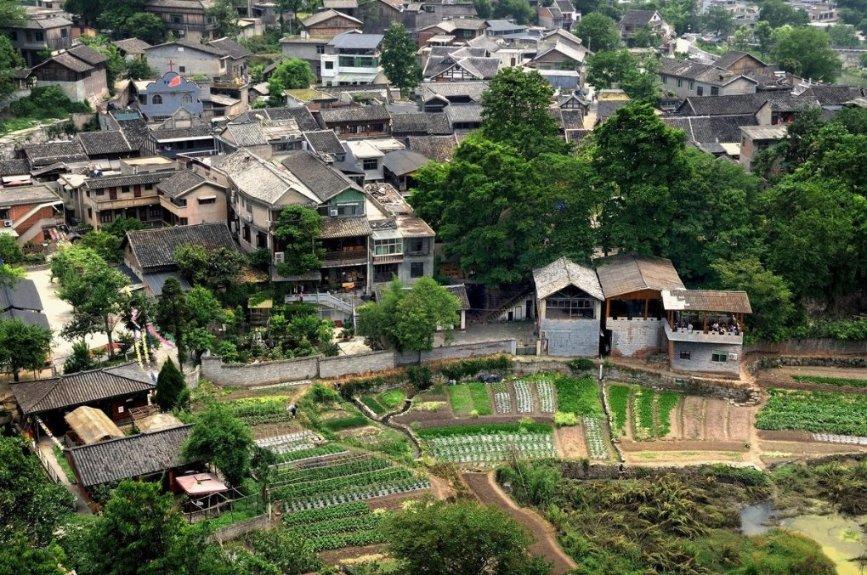 救援小蝙蝠